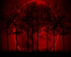 Red Moon Wall