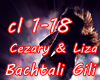 Cezary Liza cl1-18