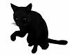 Black Cat W Purple Eyes