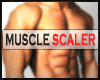 MUSCLE SCALER