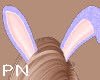 Bunny Ears lila Glitter