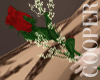 !A Red rose