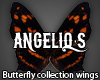 Butterfly wings #19