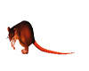 animated ratt