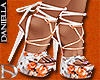 D| Sun family Shoes
