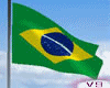 V9 BRAZIL Flag Animated