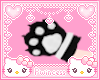 ♡ too many paws