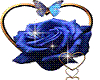 blue rose/w butterflys