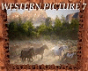 Western Picture 7