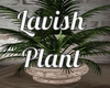 Lavish Plant