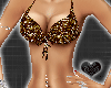 *-*beauty Brown Bikini