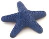 Starfish Dance Marker