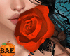 B| Halloween Orange Rose