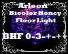 Bicol. Honey Floor Light