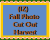 Fall Cut Out Harvest