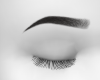 Latin Eyebrow