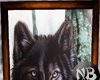 [NB] Werewolf BlackFurys