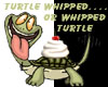 Turtle Whipped
