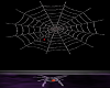 [em] spiderweb radio