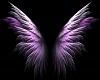 Angel wings mc