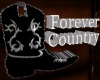 3D Forever Country Sign