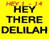 Hey There Delilah Dub