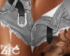 Lion Tat Shorts Grey