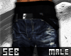 S' JJ Ripped Skinnies v1