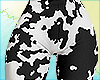 Dunks Licra