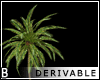 DRV Palm Trees 4
