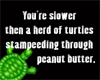 PB Slower then turtles