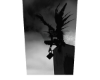 Cutout 5