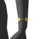 3 VanCf Yellow 2 L