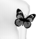 My Butterfly T