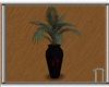 Black & Crimson Plant 1