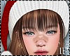 Santa Christmas Brown