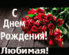 Suhachjov s dnem roz rus