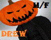 Dd-Pumpkin Halloween F/M