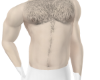 MUSCULO MUSCLE + PELO