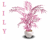 (WTL) Pink Plant