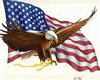 Eagle & American Flag