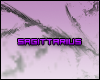 (*Par*) Sagittarius