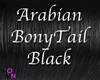 Arabian BonyTail Black