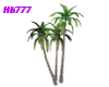 HB777 PL Ani Palm Trees