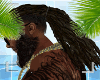Dreds PonyTail