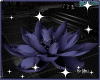 ~*Blue purpple Zen lotus