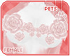 [Pets]Valerie|boob roses