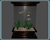 Rozina Fish Tank