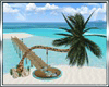 Sea Palm Swing (R)