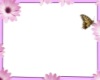buterfly petal avi frame